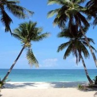 ボラカイボラボラ