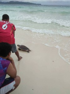 34158573_1758594430855296_2156418601609854976_n