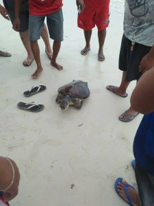 34268603_1758594404188632_8140453654449618944_n