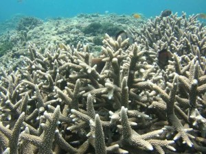 36408608_1798081446906594_4546564294061326336_n